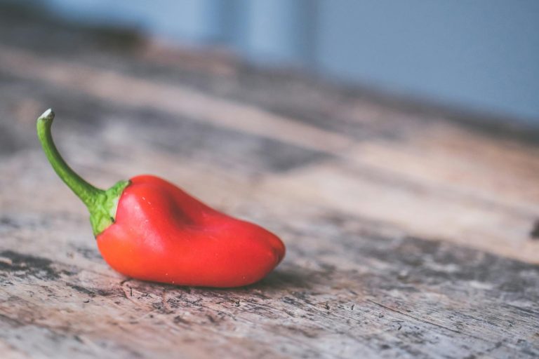 How Make Money Through Hot Pepper Farming – Another Way To Get Rich Faster