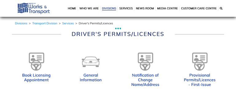 How Do I Renew, Or Replace My Trinidad and Tobago Driver’s Permit?