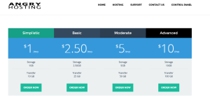 AngryHosting.com Review