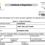 How To Print URA TIN Certificate Online